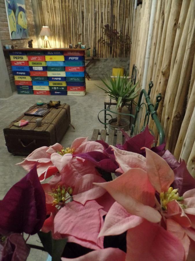 The Upcycled Hostel Huacachina Ica Eksteriør bilde